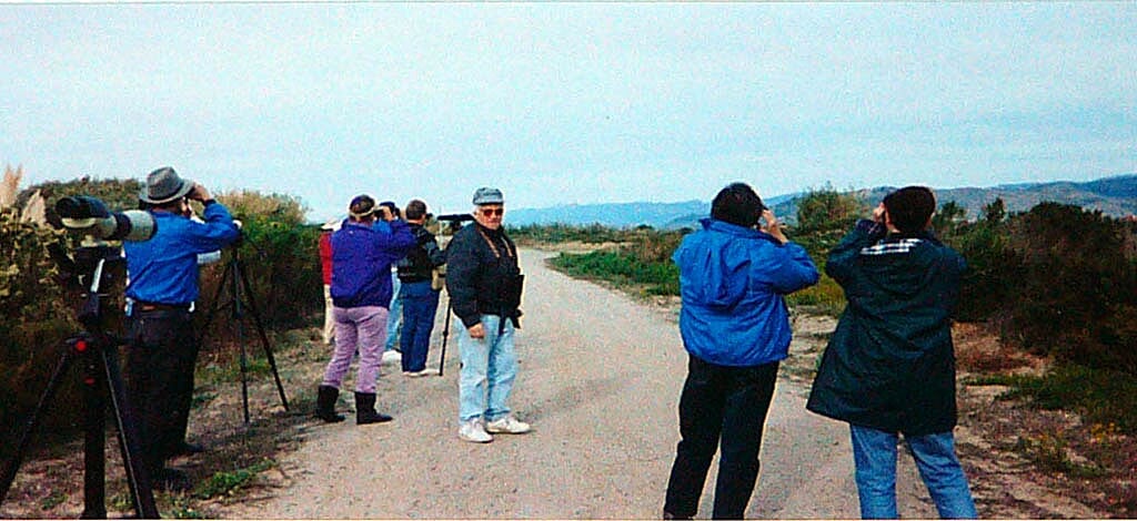 Christmas Bird Count Christmas Bird Count