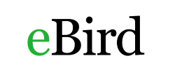 eBird Logo