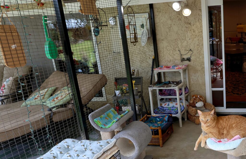 catio example 2
